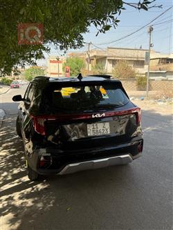 کیا سێلتۆس